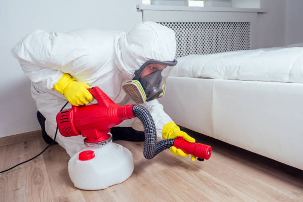 Best Bed Bug Extermination  in Claremont, NH